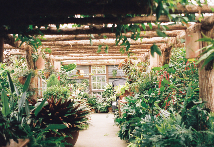 2021 film photo taken on a Pentax K1000 in Iowa by graphic designer Abbi Roush.