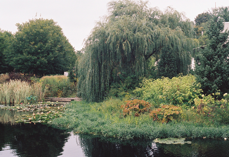 2021 film photo taken on a Pentax K1000 in Iowa by graphic designer Abbi Roush.