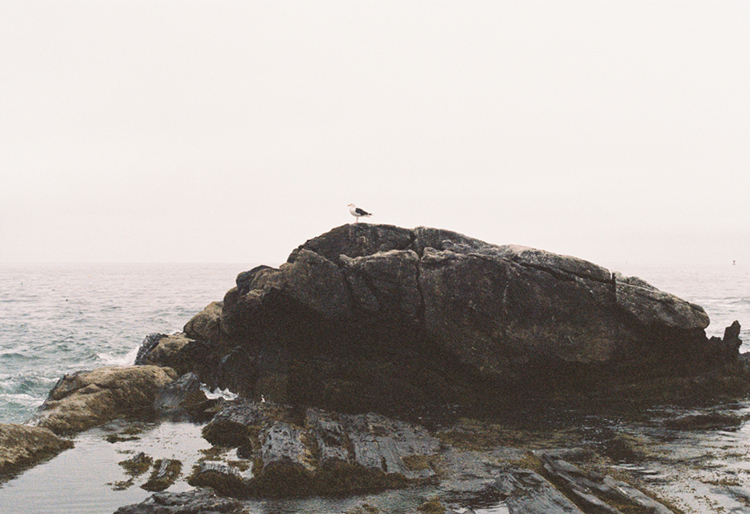 2021 film photo taken on a Pentax K1000 in Maine by graphic designer Abbi Roush.