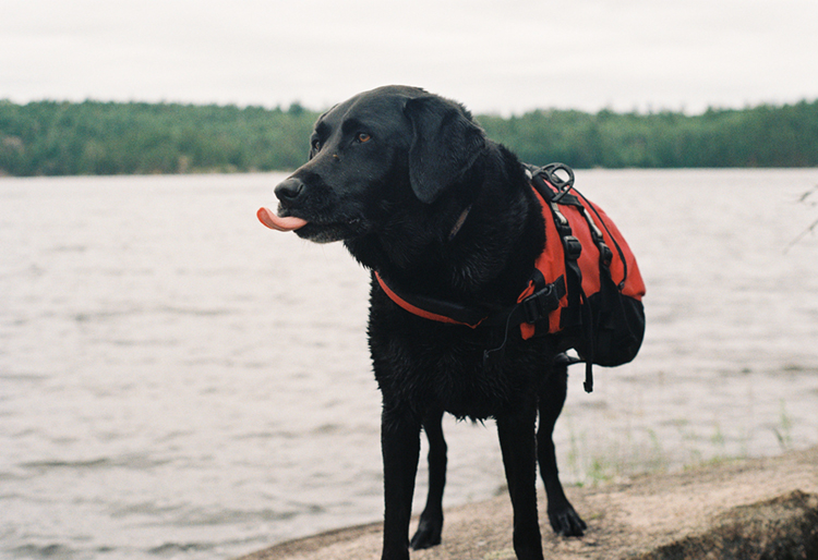 2021 film photo taken on a Pentax K1000 in Minnesota by graphic designer Abbi Roush.