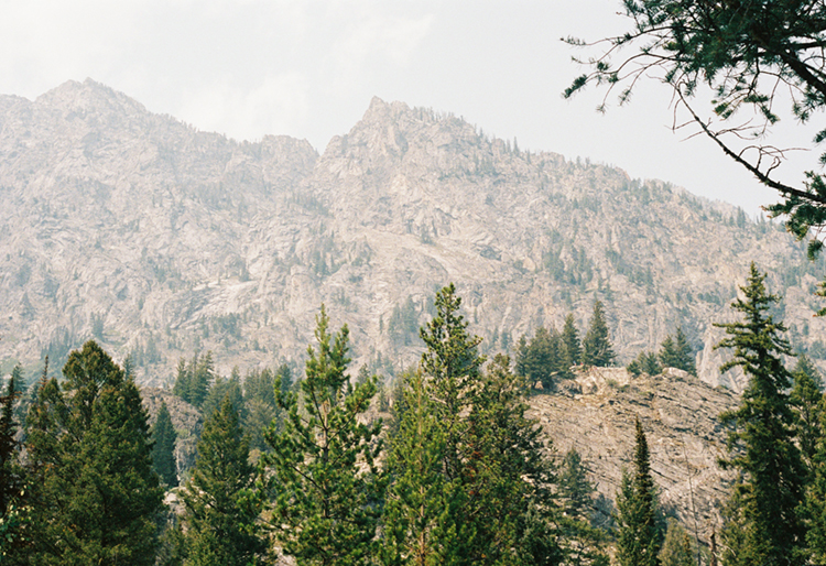 2021 film photo taken on a Pentax K1000 in Wyoming by graphic designer Abbi Roush.