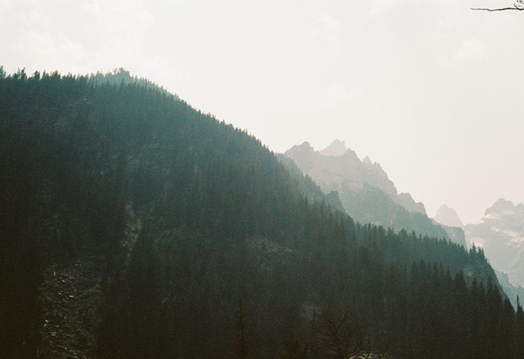 2021 film photo taken on a Pentax K1000 in Wyoming by graphic designer Abbi Roush.