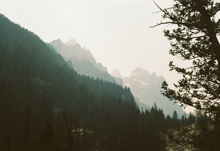 2021 film photo taken on a Pentax K1000 in Wyoming by graphic designer Abbi Roush.