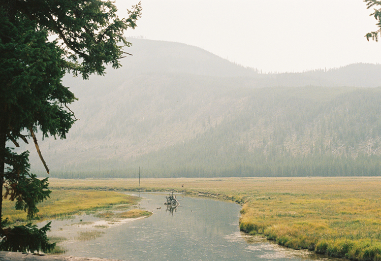 2021 film photo taken on a Pentax K1000 in Wyoming by graphic designer Abbi Roush.