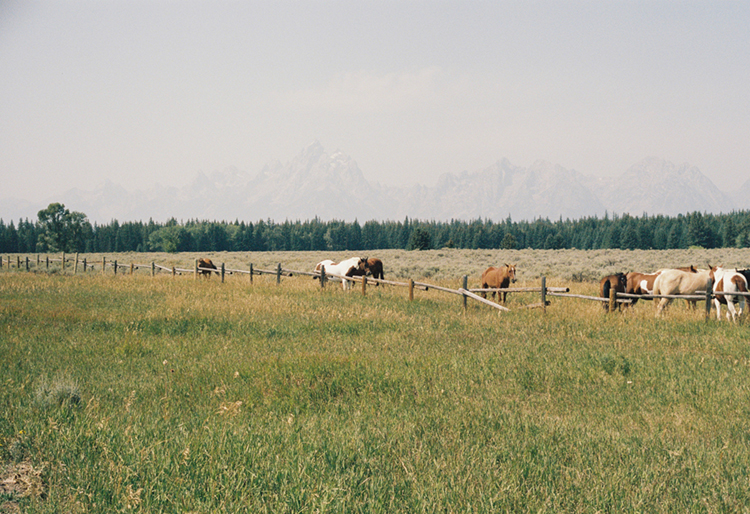 2021 film photo taken on a Pentax K1000 in Wyoming by graphic designer Abbi Roush.