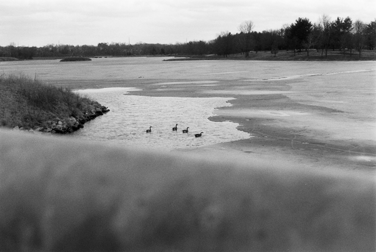 2022 film photo taken on a Pentax K1000 in Iowa by graphic designer Abbi Roush.