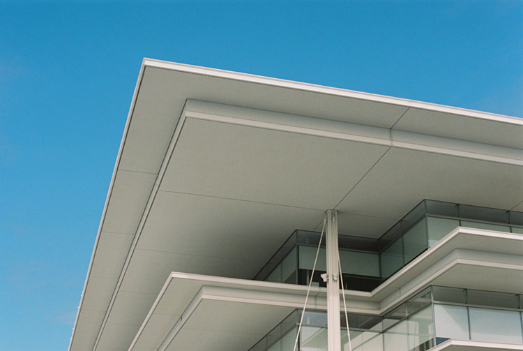 2022 film photo taken on a Pentax K1000 in Iowa by graphic designer Abbi Roush.
