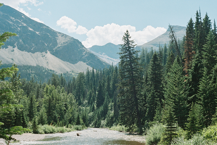 2022 film photo taken on a Pentax K1000 in Montana by graphic designer Abbi Roush.