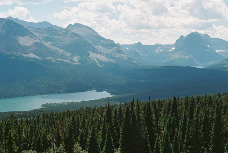 2022 film photo taken on a Pentax K1000 in Montana by graphic designer Abbi Roush.