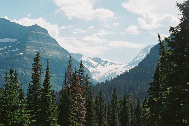 2022 film photo taken on a Pentax K1000 in Montana by graphic designer Abbi Roush.