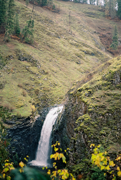 2024 film photo taken on a Pentax K1000 in Idaho by graphic designer Abbi Roush.