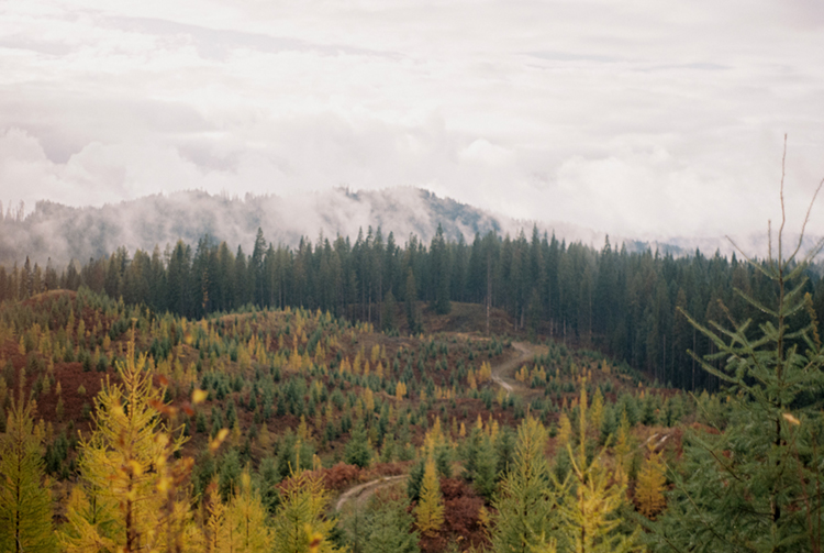 2024 film photo taken on a Pentax K1000 in Idaho by graphic designer Abbi Roush.