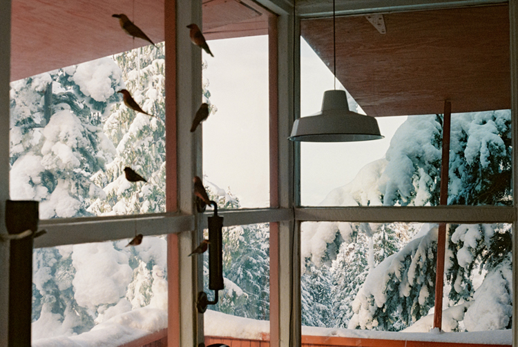 2024 film photo taken on a Pentax K1000 in Idaho by graphic designer Abbi Roush.
