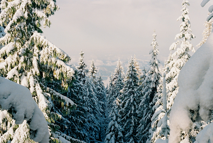 2024 film photo taken on a Pentax K1000 in Idaho by graphic designer Abbi Roush.