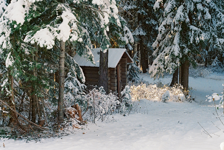 2024 film photo taken on a Pentax K1000 in Idaho by graphic designer Abbi Roush.