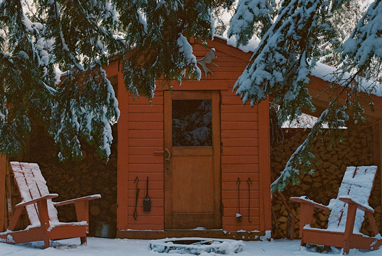 2024 film photo taken on a Pentax K1000 in Idaho by graphic designer Abbi Roush.