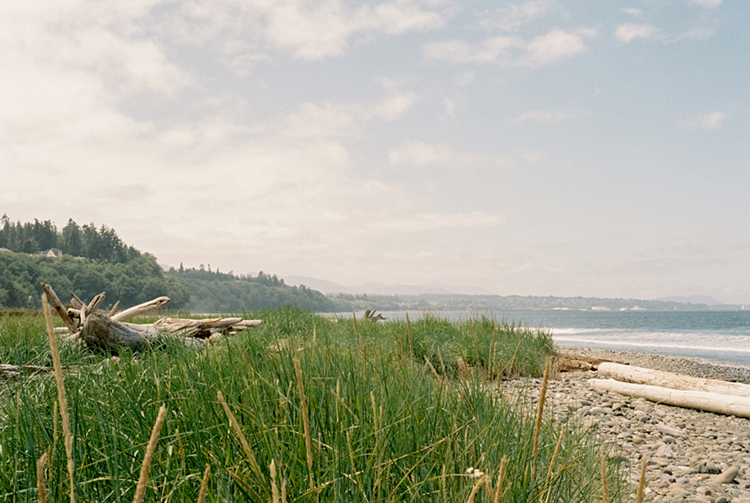2024 film photo taken on a Pentax K1000 in Washington by graphic designer Abbi Roush.