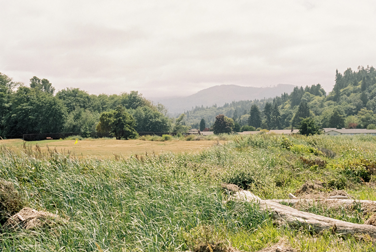 2024 film photo taken on a Pentax K1000 in Washington by graphic designer Abbi Roush.