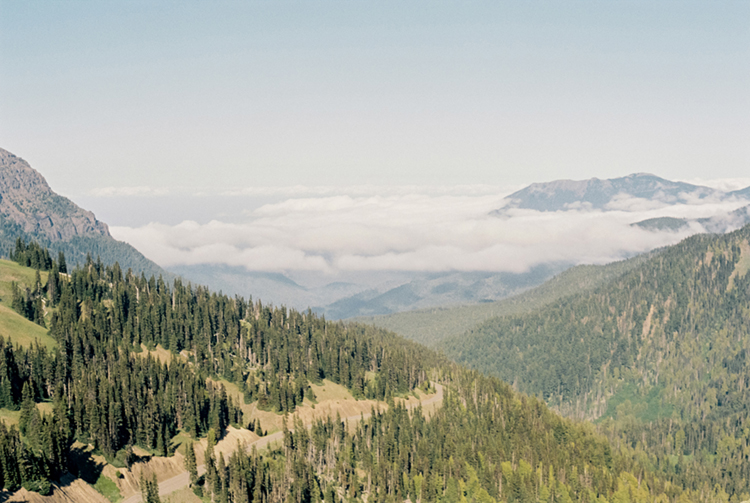 2024 film photo taken on a Pentax K1000 in Washington by graphic designer Abbi Roush.