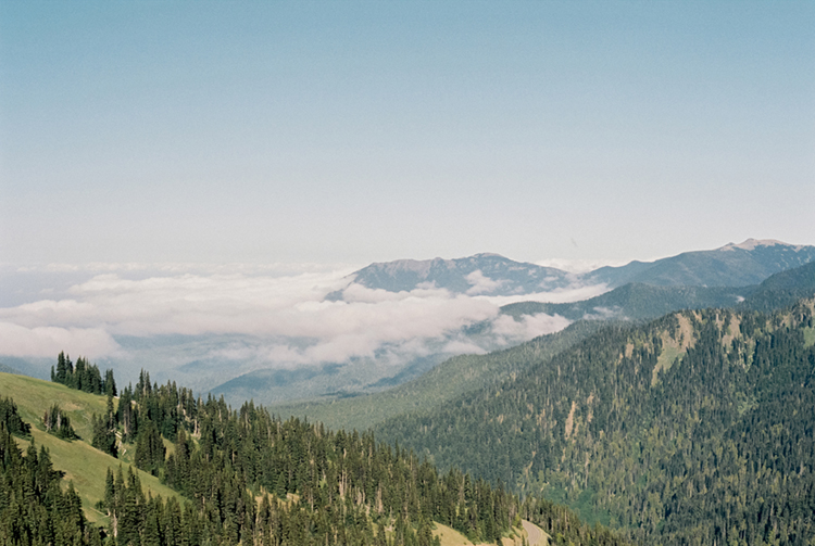 2024 film photo taken on a Pentax K1000 in Washington by graphic designer Abbi Roush.