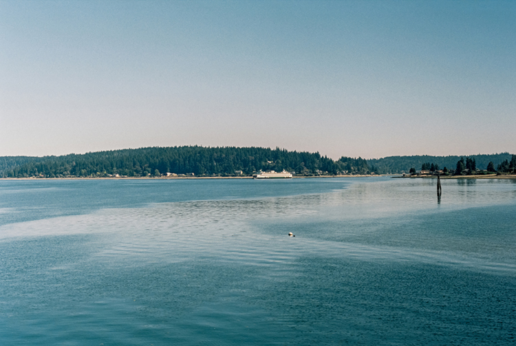 2024 film photo taken on a Pentax K1000 in Washington by graphic designer Abbi Roush.