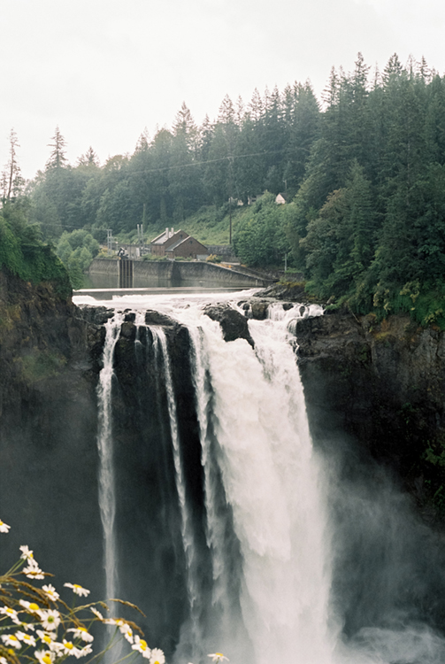 2024 film photo taken on a Pentax K1000 in Washington by graphic designer Abbi Roush.