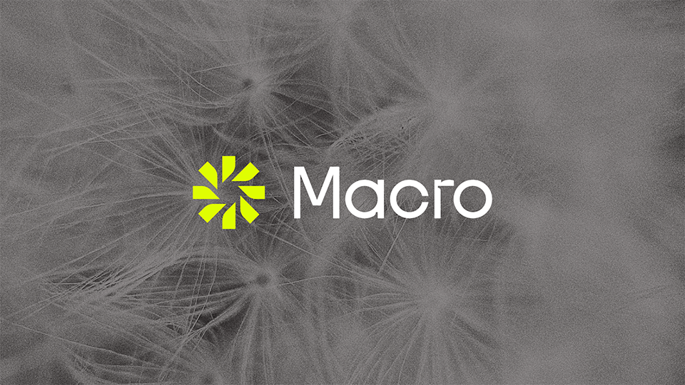 Case study image of the Macro Photo Service branding in the portfolio of graphic designer Abbi Roush.