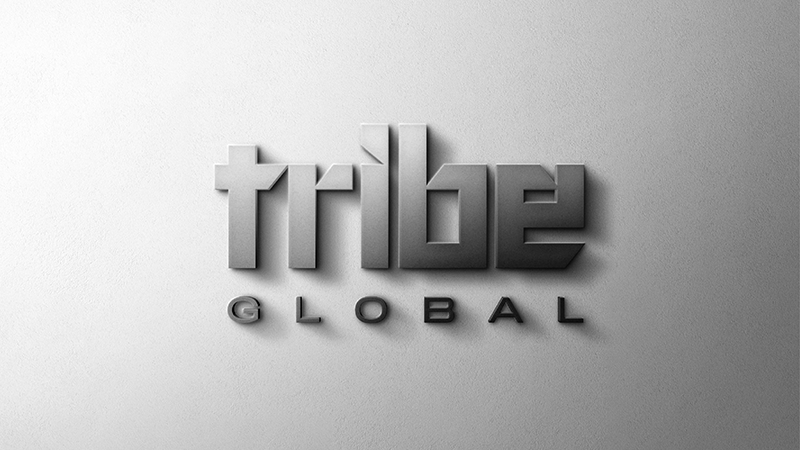 Case study image of the TRIBE Global branding in the portfolio of graphic designer Abbi Roush.