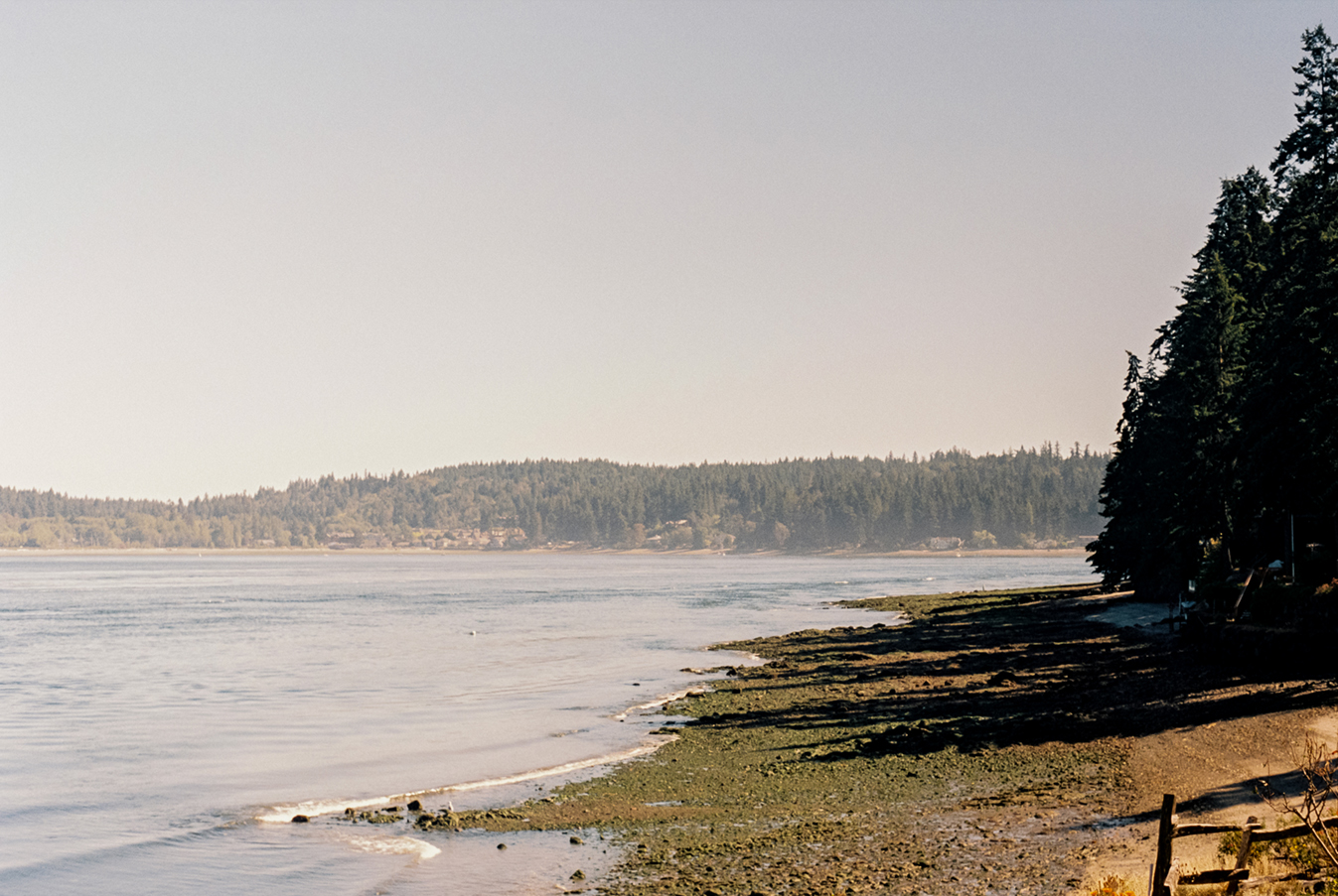 2024 film photo taken on a Pentax K1000 in Washington by graphic designer Abbi Roush.