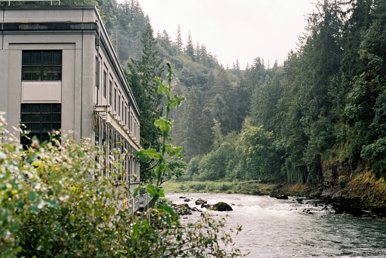 2024 film photo taken on a Pentax K1000 in Washington by graphic designer Abbi Roush.